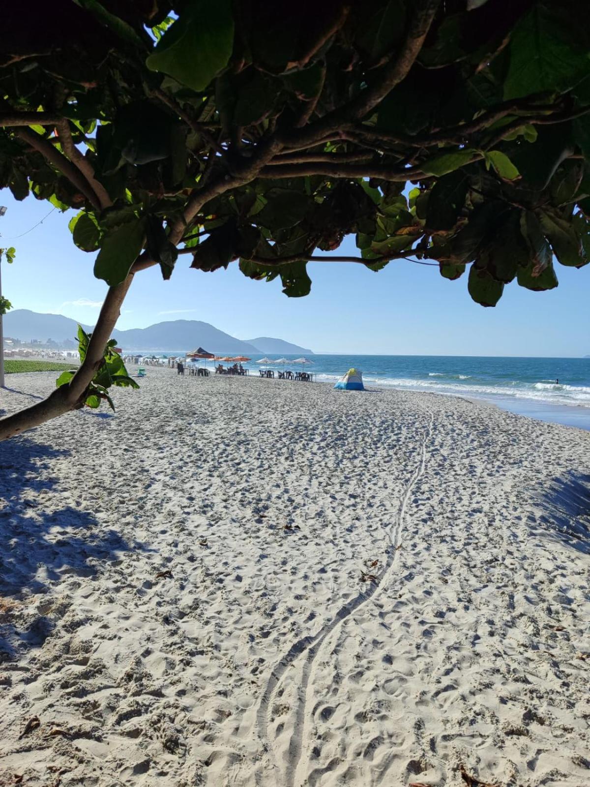 Apartamento de 2 dormitórios Florianópolis Exterior foto